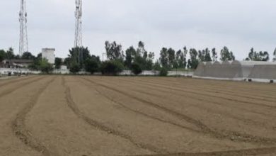 नौतोड़ भूमि मिलने से आर्थिक तौर पर सशक्त होंगे जनजातीय लोगः जगत सिंह नेगी