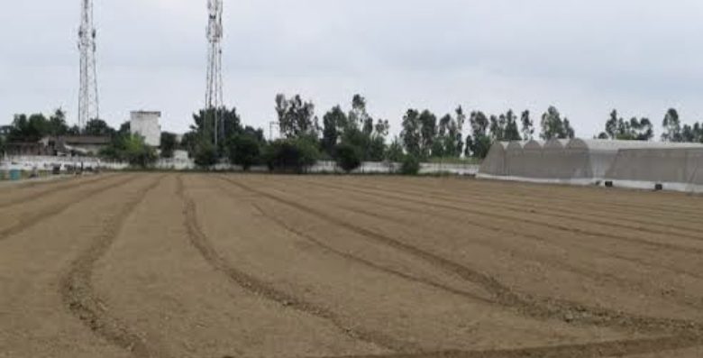 नौतोड़ भूमि मिलने से आर्थिक तौर पर सशक्त होंगे जनजातीय लोगः जगत सिंह नेगी