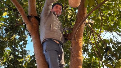 HPSPCB, Paonta Sahib, celebrated National Bird Day on January 4, 2025