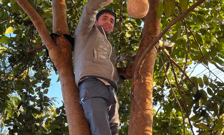 HPSPCB, Paonta Sahib, celebrated National Bird Day on January 4, 2025 HPSPCB, Paonta Sahib, celebrated National Bird Day on January 4, 2025