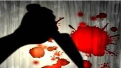 वर्ष 2024 में जिला ऊना में हत्या के केवल छः मामले पंजीकृत