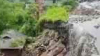 भूस्खलन से निपटने के लिए बायो-इंजीनियरिंग उपायों पर होगा काम