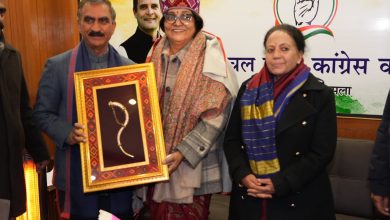 मुख्यमंत्री ने कांग्रेस प्रभारी रजनी पाटिल से भेंट की