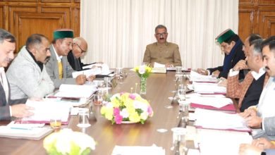 H.P Cabinet decisions