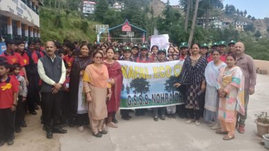 नौहराधार विद्यालय में आयोजित हुई विभिन्न गतिविधियां