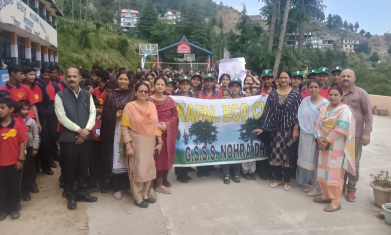 नौहराधार विद्यालय में आयोजित हुई विभिन्न गतिविधियां