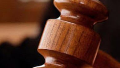 राज्य में अक्तूबर 2023 से मार्च 2025 के बीच कुल 3,25,926 लंबित राजस्व मामलों का सफलतापूर्वक निपटारा किया