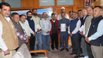 मुख्यमंत्री से सेब उत्पादकों के हितों की रक्षा के लिए केंद्र सरकार से सेब पर आयात शुल्क बढ़ाने का मुद्दा उठाने का आग्रह