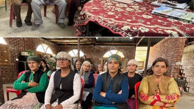 कोटखाई में होगी औषधीय पौधों की खेती