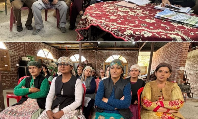 कोटखाई में होगी औषधीय पौधों की खेती