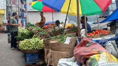 सब्जी मंडी में सस्ती सब्जियां बन रही हैं बिकने का कारण, मटर पहुंचा 120 रुपये किलो महंगाई से परेशान ग्राहक