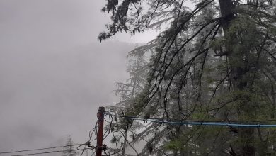 शिमला जिला में भारी बारिश का कहर – रेड अलर्ट जारी, जनजीवन अस्त-व्यस्त