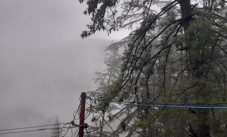 शिमला जिला में भारी बारिश का कहर – रेड अलर्ट जारी, जनजीवन अस्त-व्यस्त शिमला जिला में भारी बारिश का कहर – रेड अलर्ट जारी, जनजीवन अस्त-व्यस्त