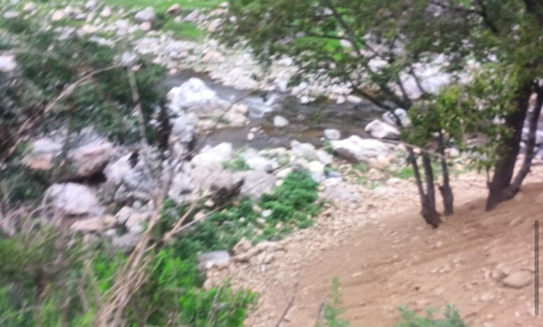 EXCLUSIVE : गिरी नदी के छैला क्षेत्र में हो रही अवैध डंपिंग, कार्रवाई के  आदेश EXCLUSIVE : गिरी नदी के छैला क्षेत्र में हो रही अवैध डंपिंग, कार्रवाई के  आदेश