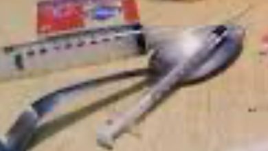 अढ़ाई वर्ष में पांच हजार से अधिक एनडीपीएस मामले दर्ज, 36.95 करोड़ रुपये की अवैध संपत्ति जब्त