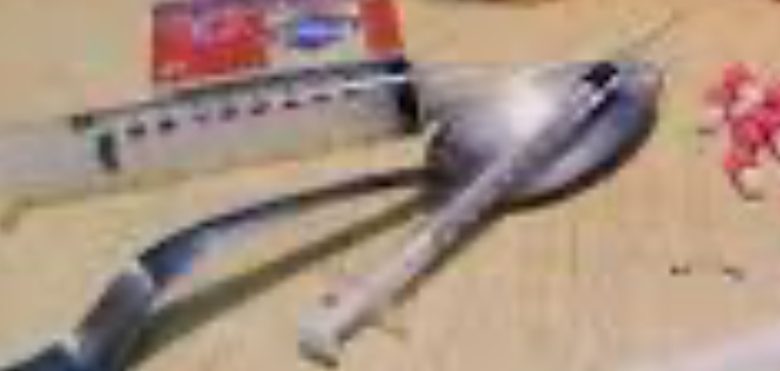 अढ़ाई वर्ष में पांच हजार से अधिक एनडीपीएस मामले दर्ज, 36.95 करोड़ रुपये की अवैध संपत्ति जब्त अढ़ाई वर्ष में पांच हजार से अधिक एनडीपीएस मामले दर्ज, 36.95 करोड़ रुपये की अवैध संपत्ति जब्त