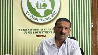 वन विभाग का बड़ा संकल्प: बंजर भूमि को बनाएंगे हरा-भरा, 1820 हेक्टेयर में लगेंगे पौधे वन विभाग का बड़ा संकल्प: बंजर भूमि को बनाएंगे हरा-भरा, 1820 हेक्टेयर में लगेंगे पौधे