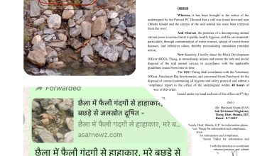 ASAR IMPACT : छैला खड्ड में बछड़े का शव मिलने से मचा हड़कंप, 48 घंटे में एक्शन का आदेश!