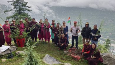 स्वतंत्रता दिवस पर कुल्लू में पौधरोपण, हरित आवरण बढ़ाने का संकल्प स्वतंत्रता दिवस पर कुल्लू में पौधरोपण, हरित आवरण बढ़ाने का संकल्प