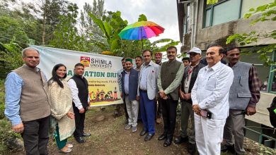 एपीजी शिमला यूनिवर्सिटी ने देशभक्ति और पर्यावरण संरक्षण को बढ़ावा देने के लिए वृक्षारोपण अभियान शुरू किया