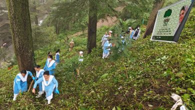 कमला नेहरू अस्पताल में संत निरंकारी चैरिटेबल फाउंडेशन ने चलाया स्वच्छता अभियान कमला नेहरू अस्पताल में संत निरंकारी चैरिटेबल फाउंडेशन ने चलाया स्वच्छता अभियान