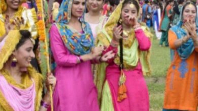 टूटीकंडी के जंगली मैदान में तीज पर्व की धूम देखनेको मिलेगी टूटीकंडी के जंगली मैदान में तीज पर्व की धूम देखनेको मिलेगी