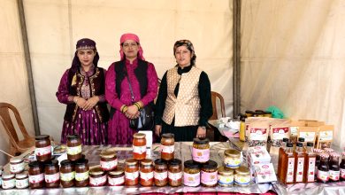 शिमला की महिलाओं का अनोखा नवाचार: सेब की बर्फी से रचा आजीविका का नया स्वाद