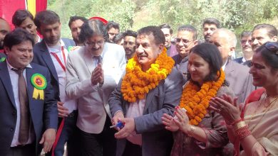 शिमला में शिक्षा का नया अध्याय: विद्यापीठ हिलग्रोव स्कूल का भव्य उद्घाटन