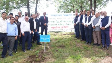 एसजेवीएन ने  एक पेड़ मां के नाम अभियान के तहत शिमला में पौधारोपण अभियान का आयोजन किया