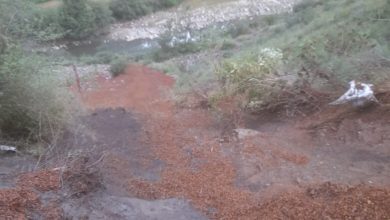 असर विशेष: गिरी गंगा में सड़े सेबों का जहर, दूषित पानी से संक्रमण का खतरा असर विशेष: गिरी गंगा में सड़े सेबों का जहर, दूषित पानी से संक्रमण का खतरा