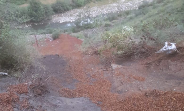 असर विशेष: गिरी गंगा में सड़े सेबों का जहर, दूषित पानी से संक्रमण का खतरा असर विशेष: गिरी गंगा में सड़े सेबों का जहर, दूषित पानी से संक्रमण का खतरा