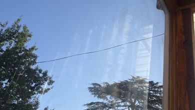 मौसम :हफ़्ते भर खिली रहेगी धूप मौसम :हफ़्ते भर खिली रहेगी धूप