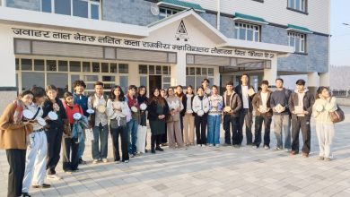 जवाहरलाल नेहरू फाइन आर्ट्स कॉलेज में लिप्पन कला कार्यशाला का सफल आयोजन जवाहरलाल नेहरू फाइन आर्ट्स कॉलेज में लिप्पन कला कार्यशाला का सफल आयोजन