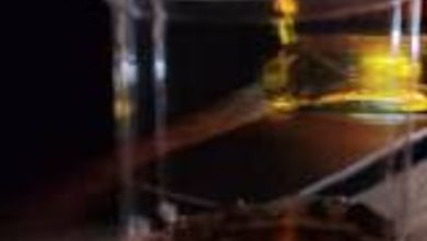 बड़ी खबर: डमटाल से कुल्लू तक हड़कंप! भट्टियाँ नष्ट, हजारों लीटर शराब बरामद बड़ी खबर: डमटाल से कुल्लू तक हड़कंप! भट्टियाँ नष्ट, हजारों लीटर शराब बरामद