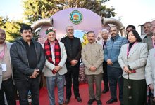 मुख्यमंत्री ने शिमला विंटर कार्निवाल का किया शुभारम्भ मुख्यमंत्री ने शिमला विंटर कार्निवाल का किया शुभारम्भ