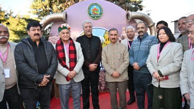 मुख्यमंत्री ने शिमला विंटर कार्निवाल का किया शुभारम्भ मुख्यमंत्री ने शिमला विंटर कार्निवाल का किया शुभारम्भ