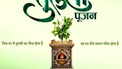 तुलसी पूजन दिवस बनाम क्रिसमस: आस्था, राजनीति और प्रोपेगैंडा की सच्चाई तुलसी पूजन दिवस बनाम क्रिसमस: आस्था, राजनीति और प्रोपेगैंडा की सच्चाई