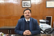 हैरानी , शिमला में अभियान क्या चला लोगों ने अपने पशुओं को छोड़ना शुरू दिया हैरानी , शिमला में अभियान क्या चला लोगों ने अपने पशुओं को छोड़ना शुरू दिया