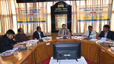 जिला में एनपीए हो चुके खातों की संख्या कम करने की दिशा में कार्य करें बैंक – उपायुक्त