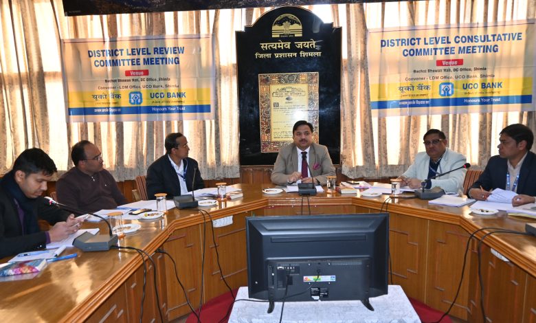 जिला में एनपीए हो चुके खातों की संख्या कम करने की दिशा में कार्य करें बैंक – उपायुक्त