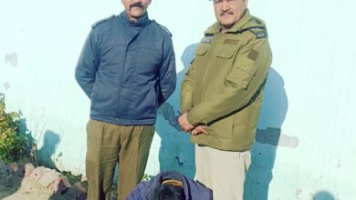 BREAKING : शिमला पुलिस की नशे के खिलाफ बड़ी कार्रवाई, 1.811 किलोग्राम चरस बरामद