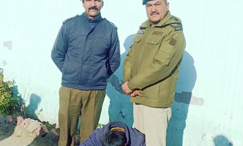 BREAKING : शिमला पुलिस की नशे के खिलाफ बड़ी कार्रवाई, 1.811 किलोग्राम चरस बरामद