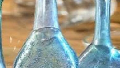 अब घर बैठे लगेगी बोली: खुदरा आबकारी ठेके ई-नीलामी से आवंटित