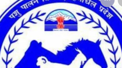 25 किलो उठाने पर विवाद: पशुपालन विभाग ने तोड़ी चुप्पी, बताया पूरा सच