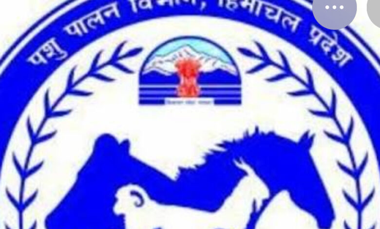 25 किलो उठाने पर विवाद: पशुपालन विभाग ने तोड़ी चुप्पी, बताया पूरा सच