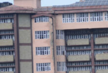 प्रकृति संरक्षण का संदेश: कन्या महाविद्यालय की छात्राएं बनीं ‘बर्ड वॉरियर’