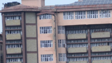 प्रकृति संरक्षण का संदेश: कन्या महाविद्यालय की छात्राएं बनीं ‘बर्ड वॉरियर’