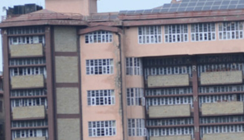 प्रकृति संरक्षण का संदेश: कन्या महाविद्यालय की छात्राएं बनीं ‘बर्ड वॉरियर’