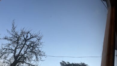 मौसम: सप्ताह भर खिलेगी धूप