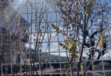 मौसम: शिवरात्रि को नहीं बदलेगा मौसम करवट